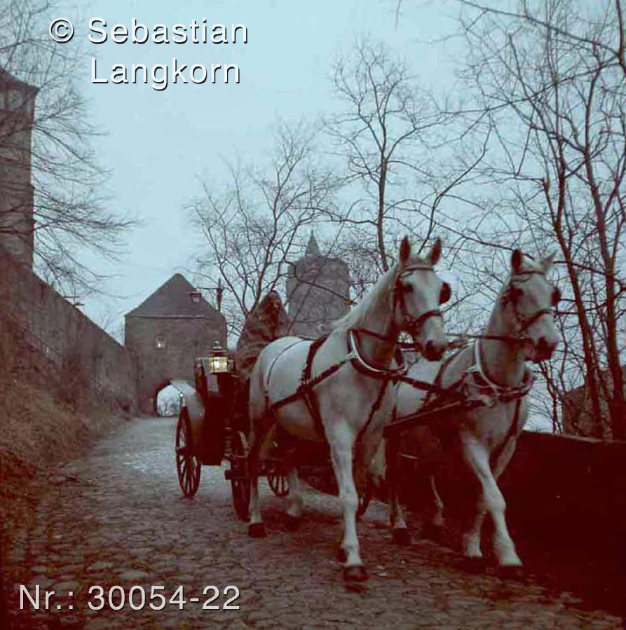 SebastianLangkornKontinent