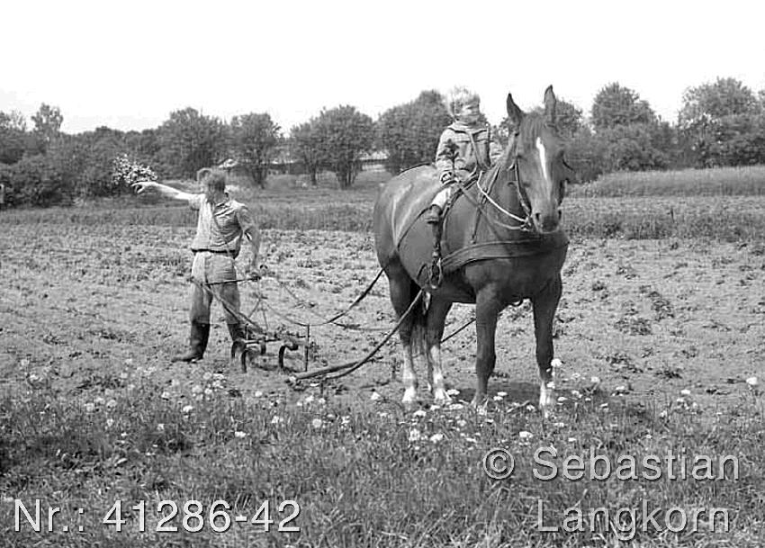 SebastianLangkornPankow1976