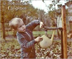 SebastianLangkorn5