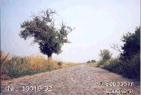 SebastianLangkornKlarwerk9