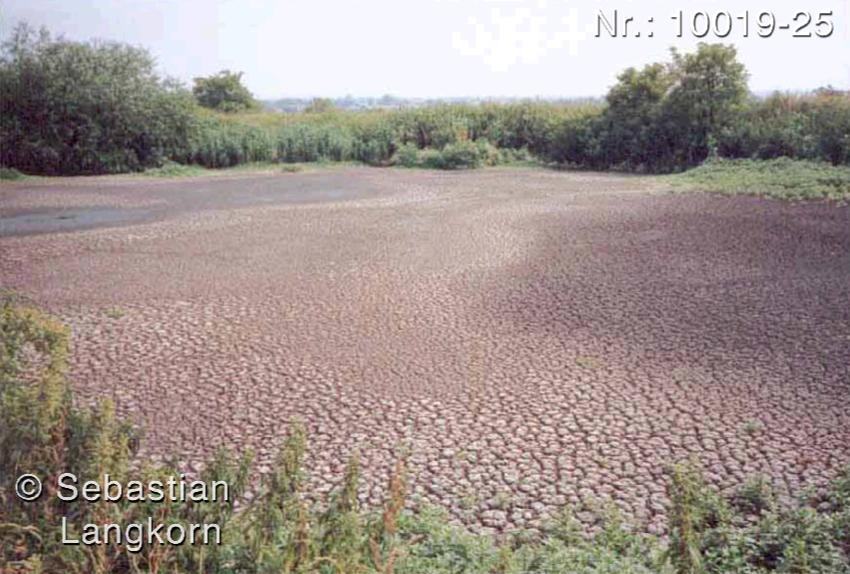 SebastianLangkornKlarwerk1987