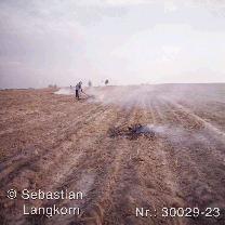 SebastianLangkornMittelpunkt2