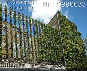 SebastianLangkornLondon7