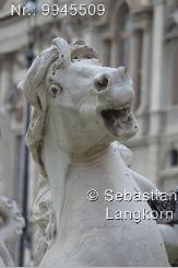 SebastianLangkornjpg