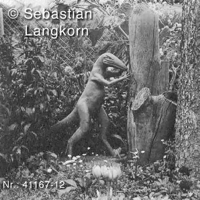 SebastianLangkornSaurierdorf