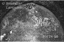 SebastianLangkornKontinent7