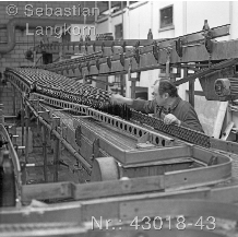 SebastianLangkorn8