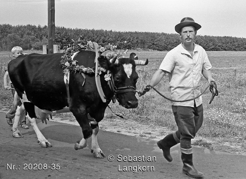 SebsatianLangkorn